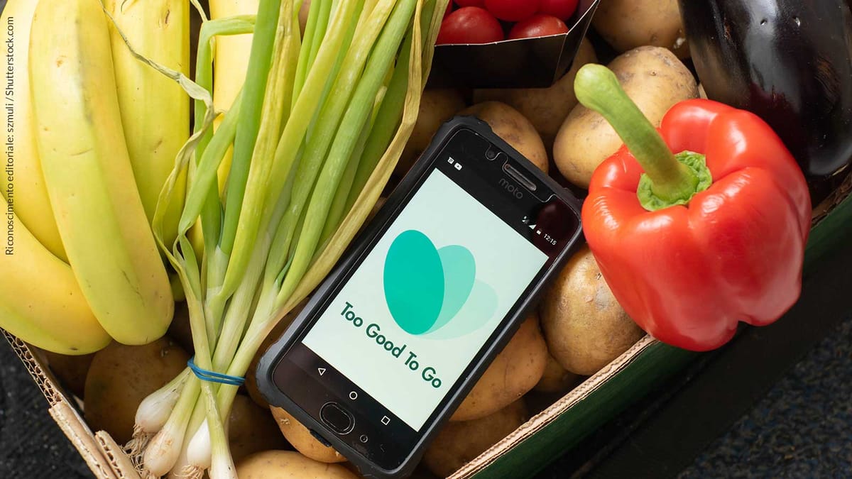 Too Good To Go: Saving Meals, Money, and the Planet